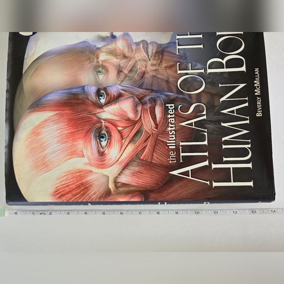 🩻 Atlas Of The Human Body Hardcover Book - Picture 13 of 16